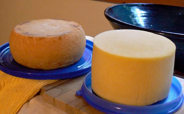 Swiss with Terrie Travers - New England Cheesemaking Supply Company