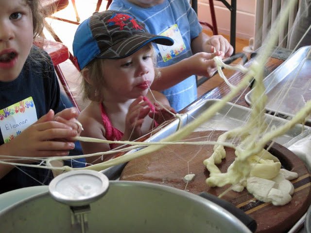 Teaching Preschoolers How Cheese is Made - New England Cheesemaking Supply Company