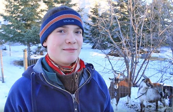 Training a Goat to Pull by Julia Biegel - New England Cheesemaking Supply Company