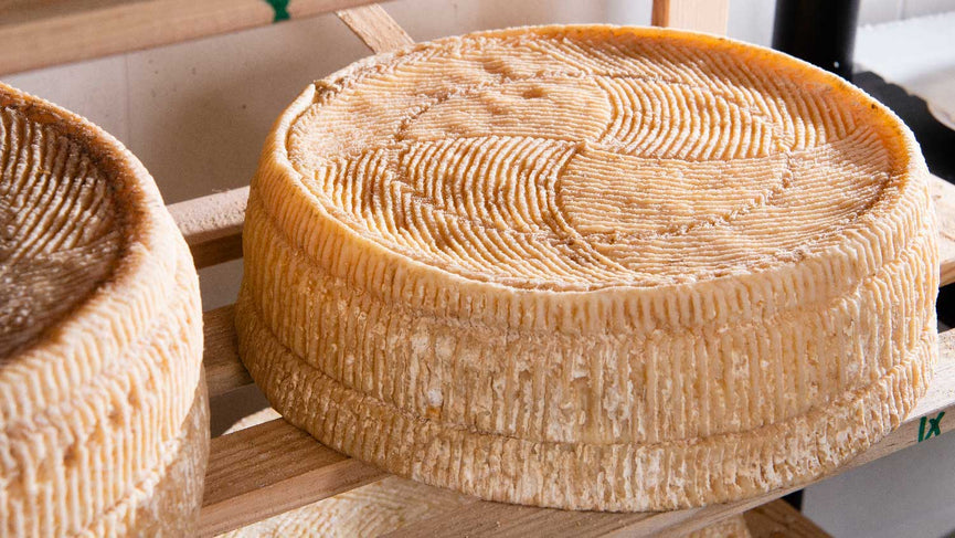 Learn About Cultures for Cheese Making