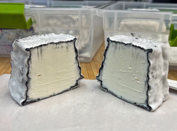 Valencay-Style Cheese by Marybeth Bullington - New England Cheesemaking Supply Company