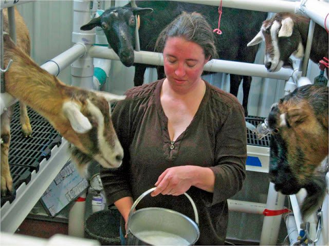 Victory Hill Farm in Scottsbluff, Nebraska - New England Cheesemaking Supply Company