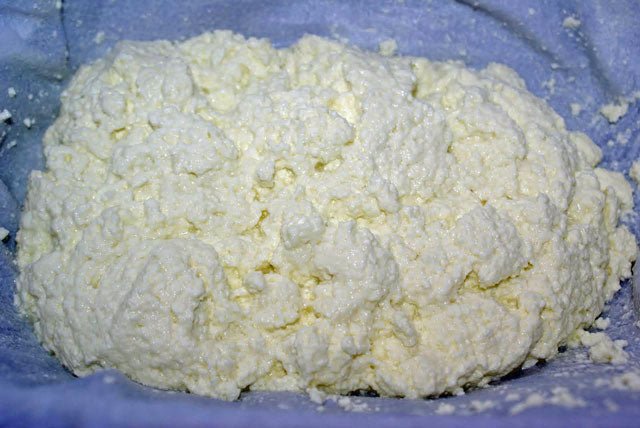 Whole Milk Ricotta with Tien - New England Cheesemaking Supply Company