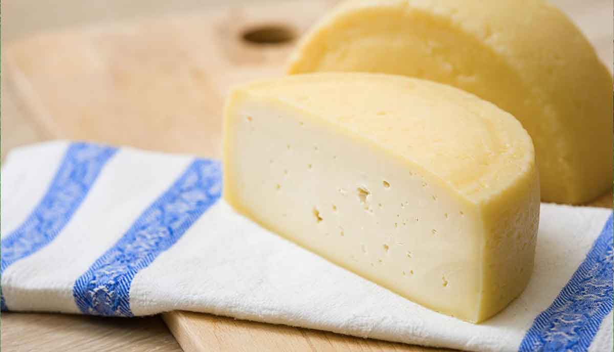 Home Cheese Making Supplies - New England Cheesemaking Supply Company