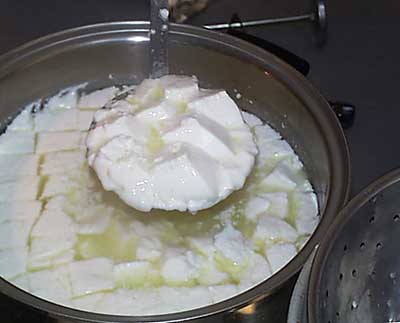 30 Minute Mozzarella Recipe