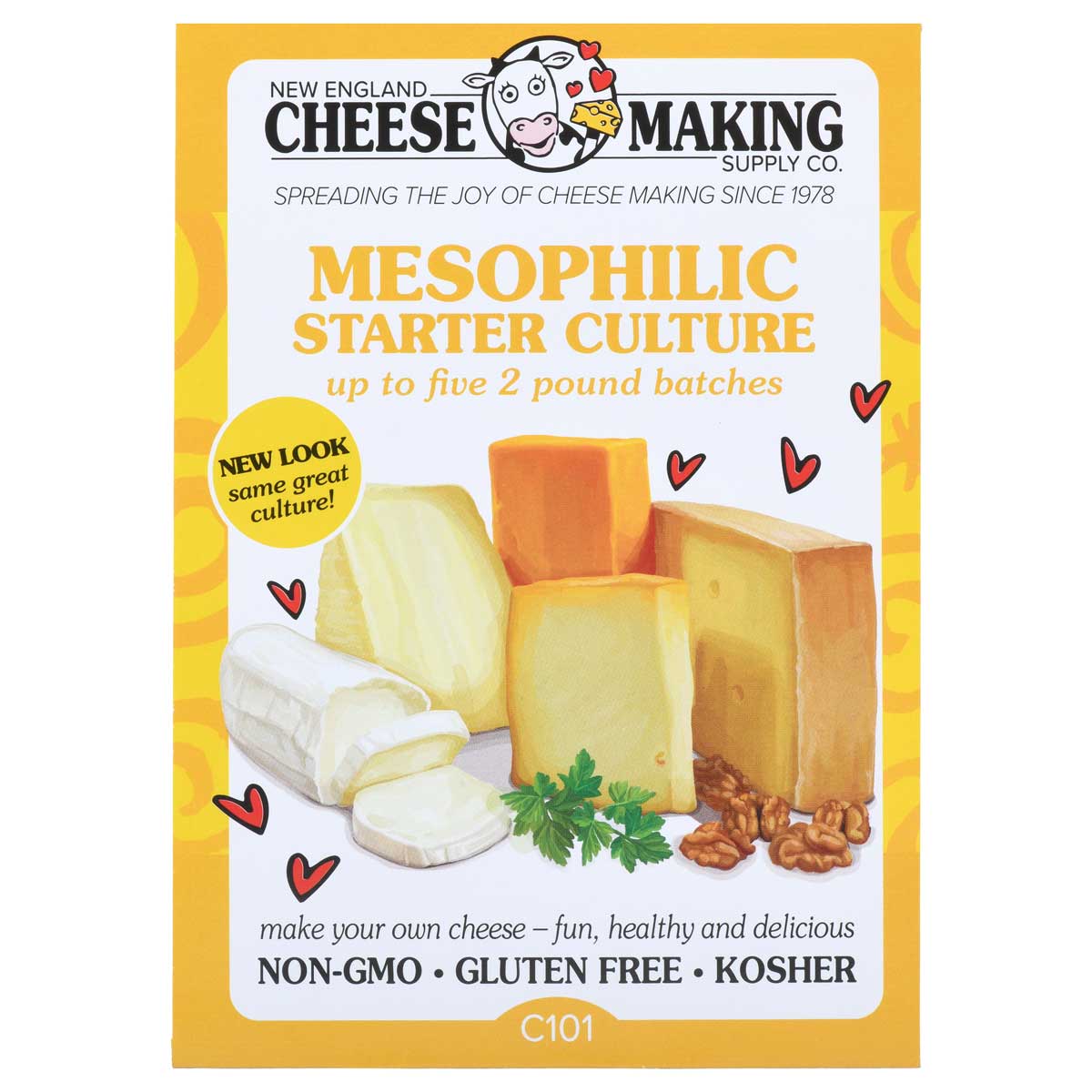 Homemade Cheese Making Equipment: A Quick & Thorough Guide 