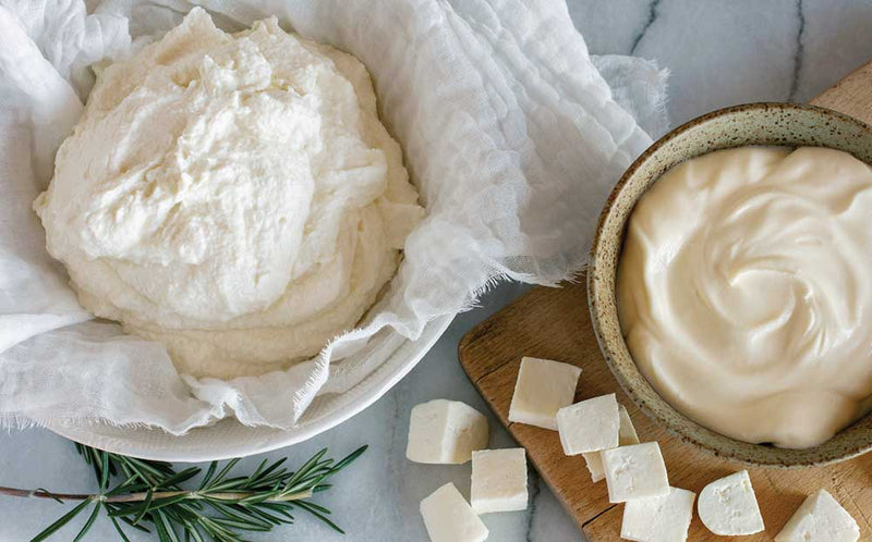 Creating Cheese The Cheese Making Process | Cheese Making Supply Co.