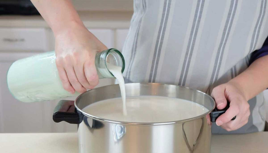 About Us How to Make Cheese Cheese Making Supply Co.