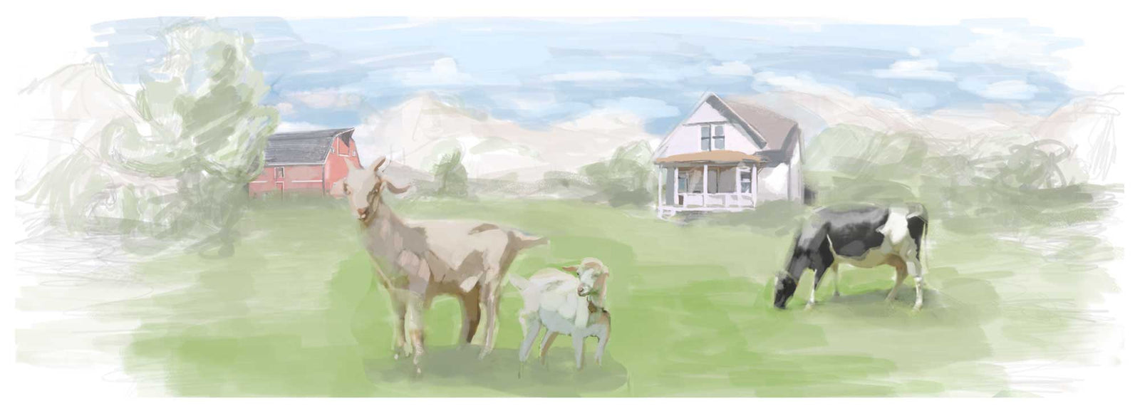 Our Story How to Make Cheese Cheese Making Supply Co.