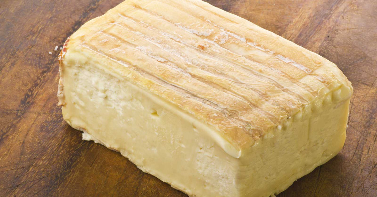 Taleggio Cheese Making Recipe