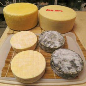 Cheese Making Workshop 201