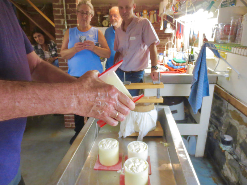 Cheese Making Workshop - Successful Aging