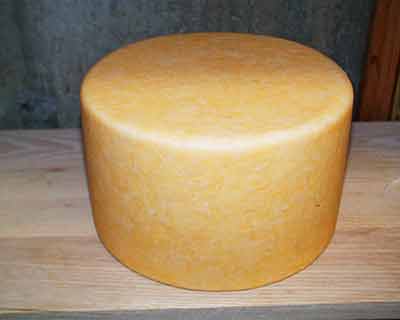 Cantal Cheese Making Recipe