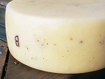 Toscano Pepato Cheese Making Recipe