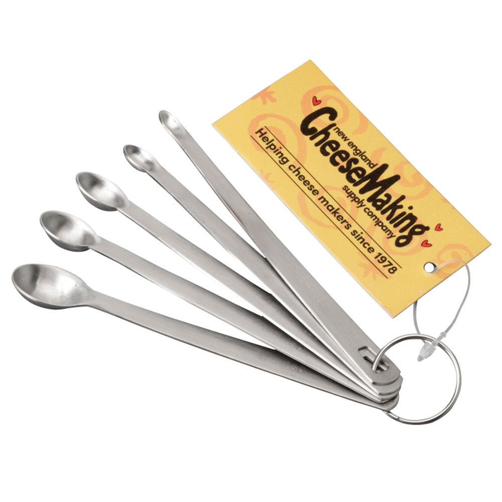 Mini Measuring Spoon Set for Cheese Making | Cheese Making