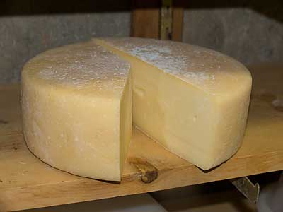 Asiago Cheese 