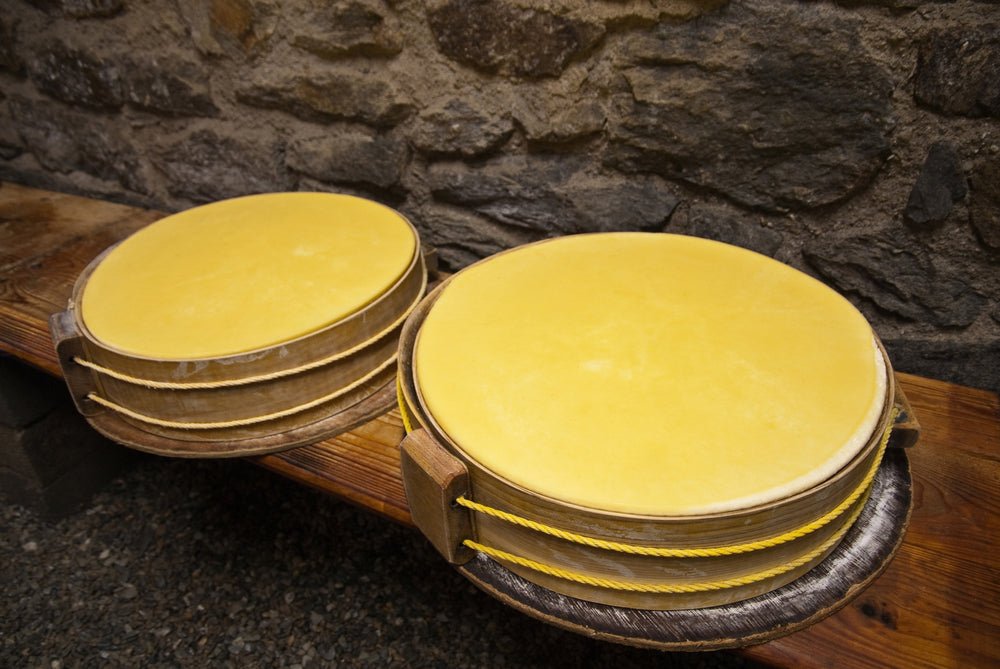 Alpine Style Cheese Making Recipe - New England Cheesemaking Supply Company