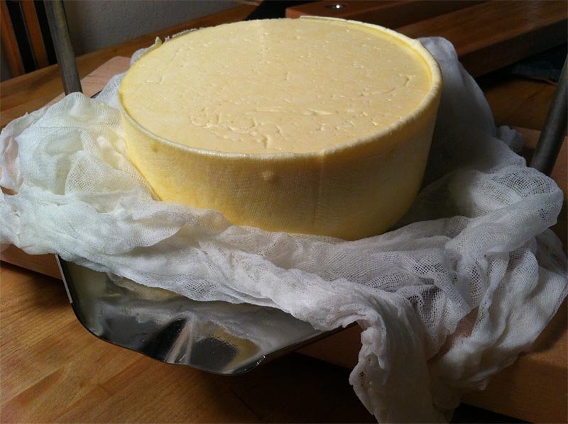 Alpine Tomme Recipe - New England Cheesemaking Supply Company