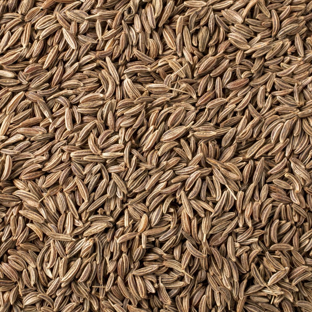 Caraway Seeds - New England Cheesemaking Supply Company