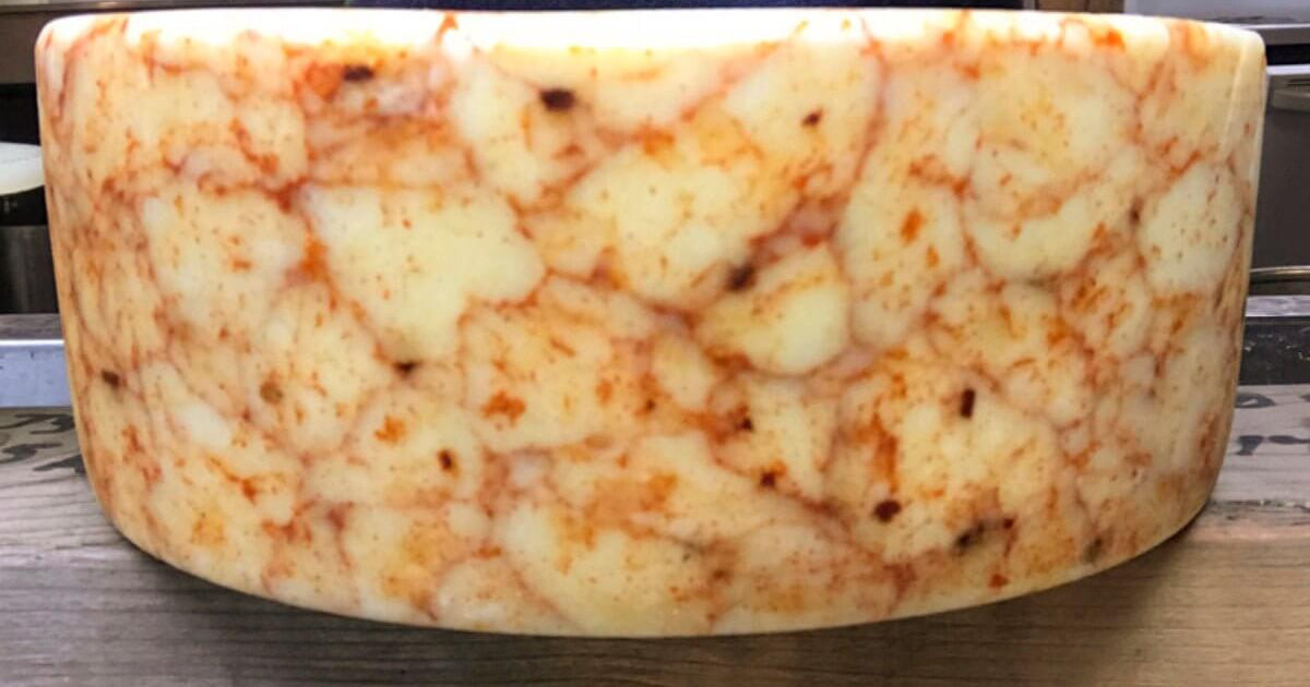 Cheddar Warp with a Kick Cheese Making Recipe