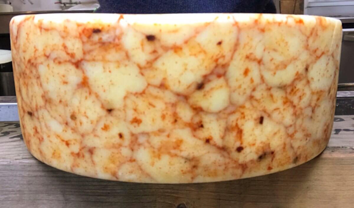 Cheddar Warp with a Kick Cheese Making Recipe
