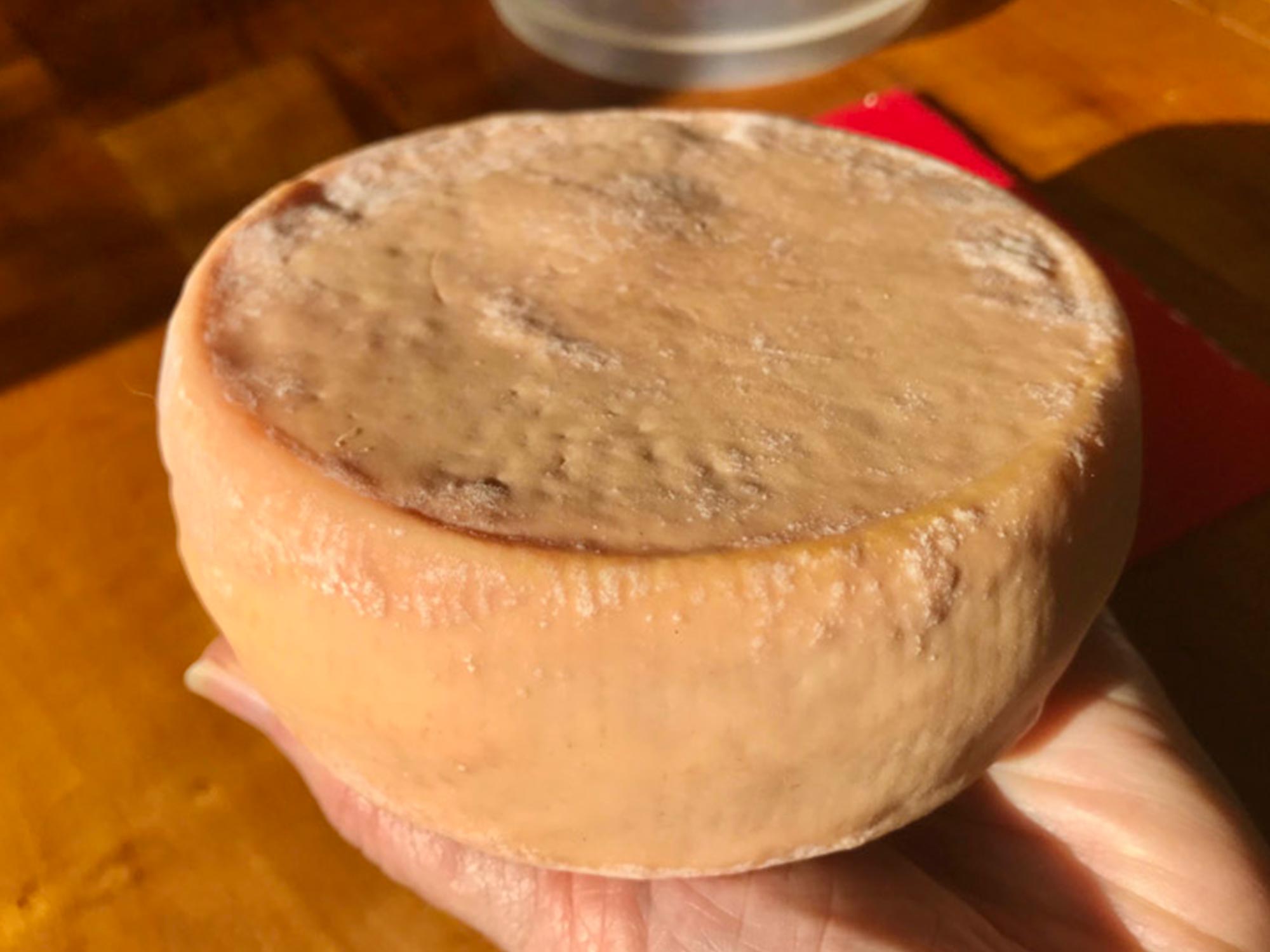 Fiore Rosso Cheese Making Recipe - New England Cheesemaking Supply Company