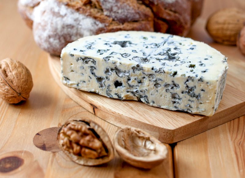 Fourme d'Ambert Cheese Making Recipe - New England Cheesemaking Supply Company