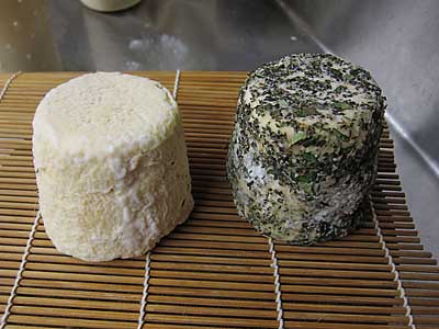 Lactic Cheese Making Recipe - New England Cheesemaking Supply Company