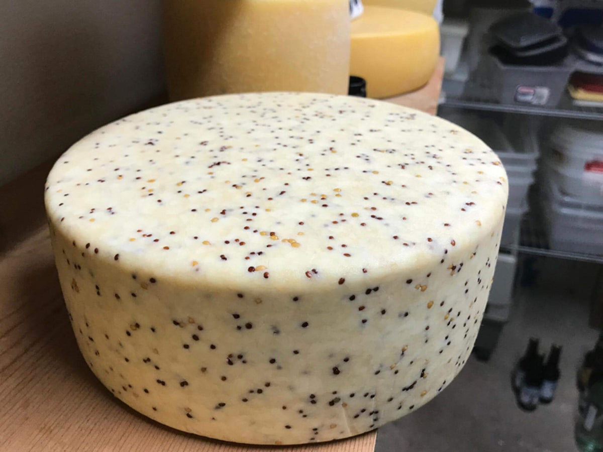 Mustard and Ale Recipe | How to Make Cheese | Cheese Making