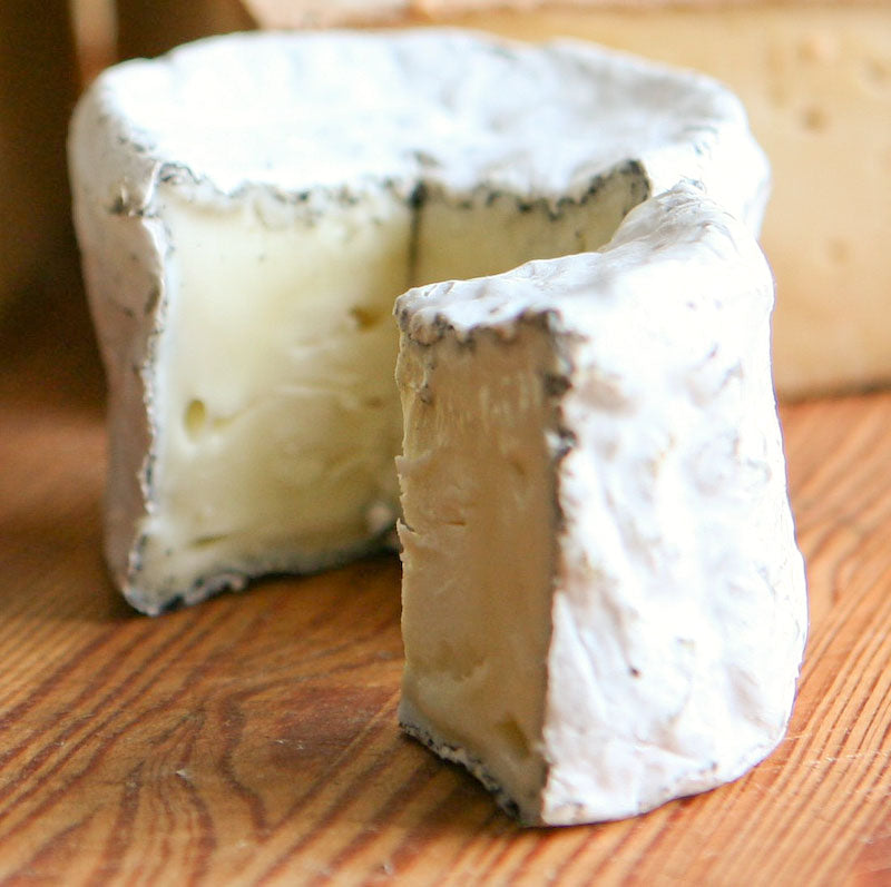 Goat Cheese Recipe with Ash