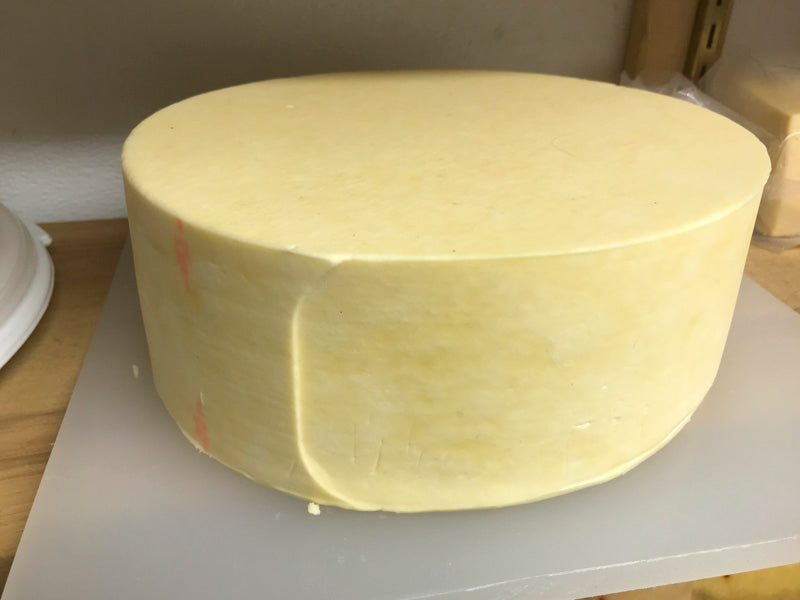 Toma Ossolano Style Cheese Making Recipe