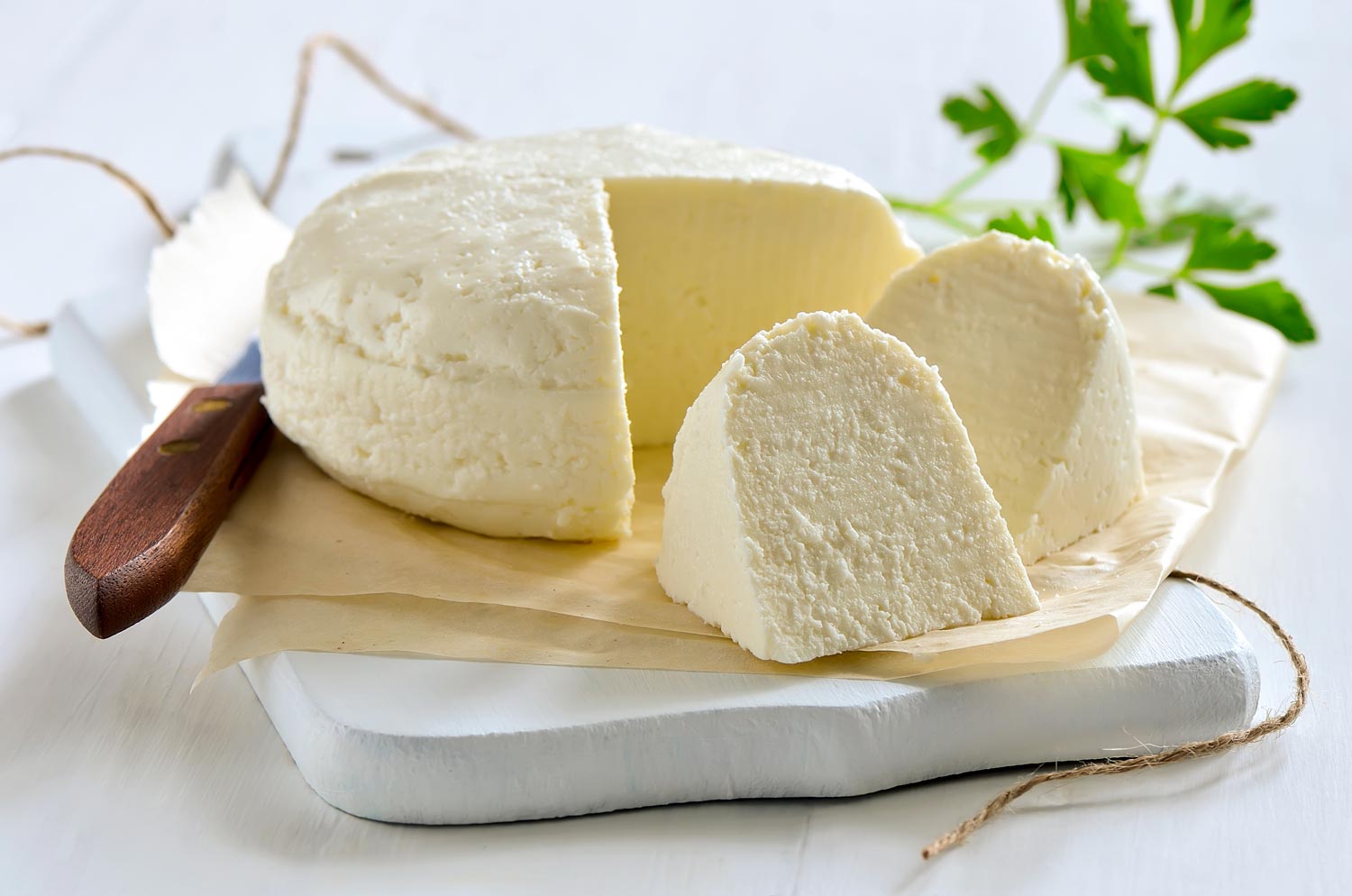 Queso Blanco Cheese Making Recipe - New England Cheesemaking Supply Company