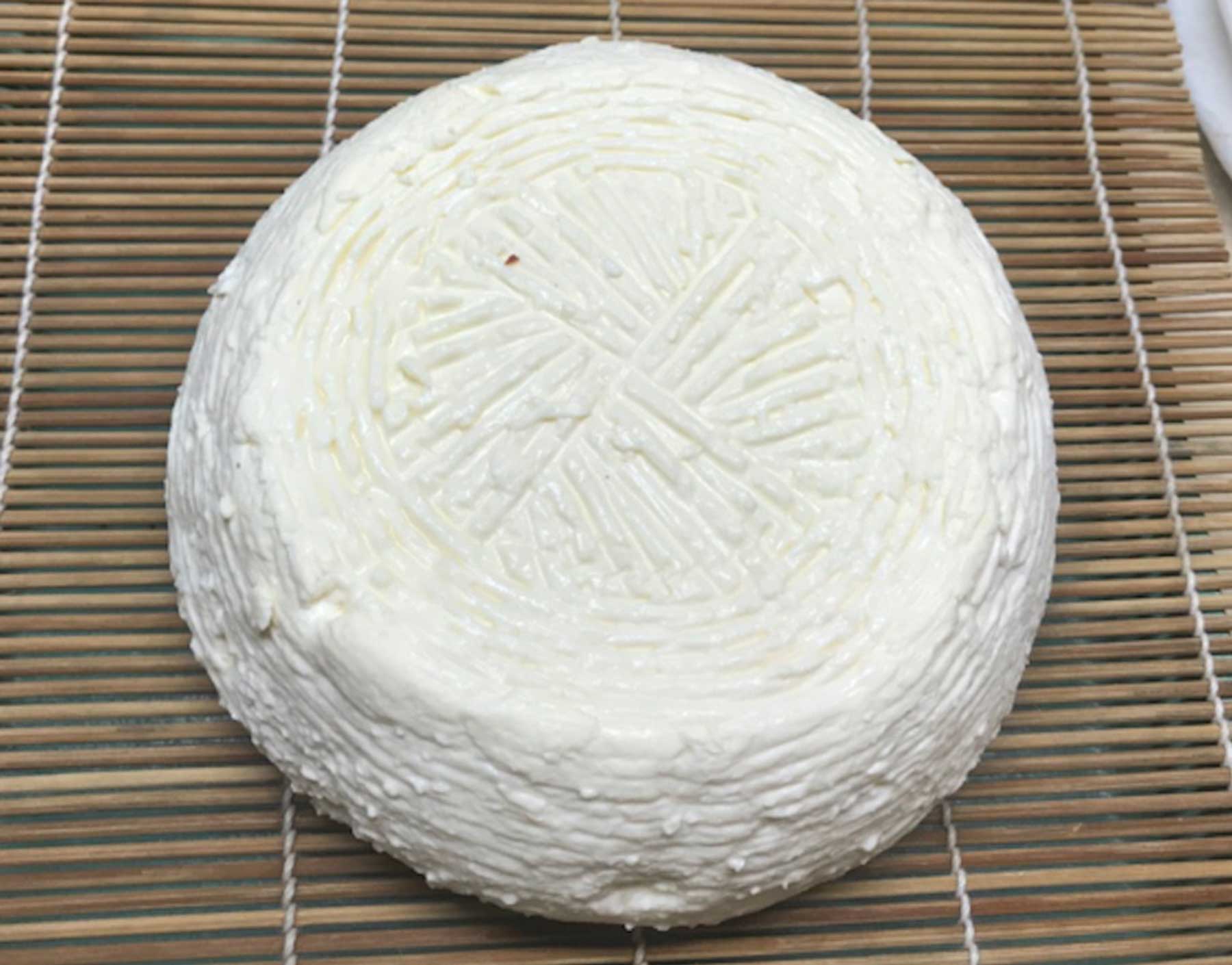 Squacquerone Cheese Making Recipe - New England Cheesemaking Supply Company