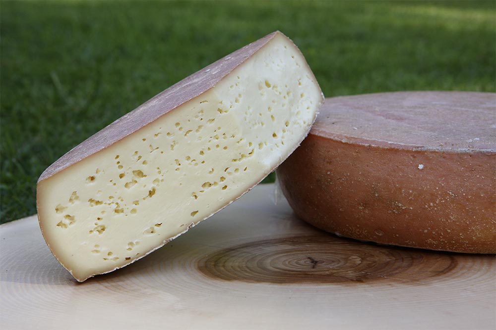 Tilsit Cheese Making Recipe - New England Cheesemaking Supply Company