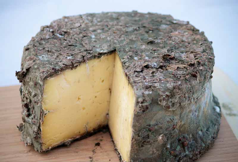 Tomme au Marc Cheese Making Recipe - New England Cheesemaking Supply Company